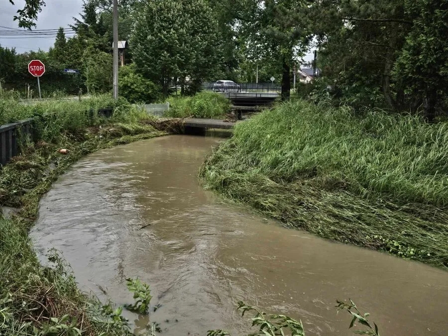 Kraków w walce z klimatem: jak energia i gospodarka wodna zmieniają miasto