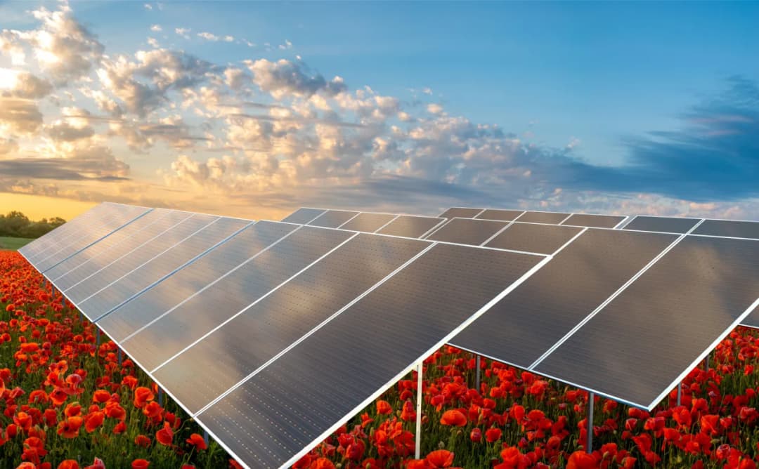 Elektrownie słoneczne jako źródła energii: co warto wiedzieć?